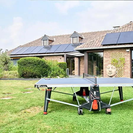 Arcadia - Piscine - - Sauna - Cinema - Jeux D'arcades - Jeux Video - Bassin Naturel - Jardin Villa *