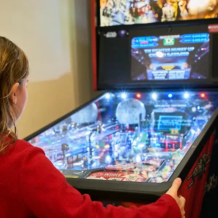 Arcadia - Piscine - - Sauna - Cinema - Jeux D'arcades - Jeux Video - Bassin Naturel - Jardin Seclin